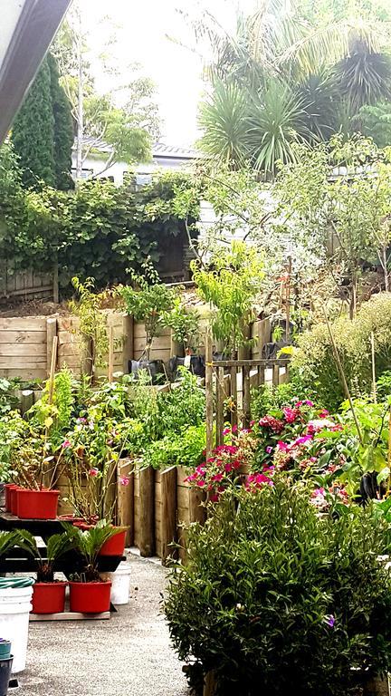 Lush & Co Auckland Bed & Breakfast Bagian luar foto