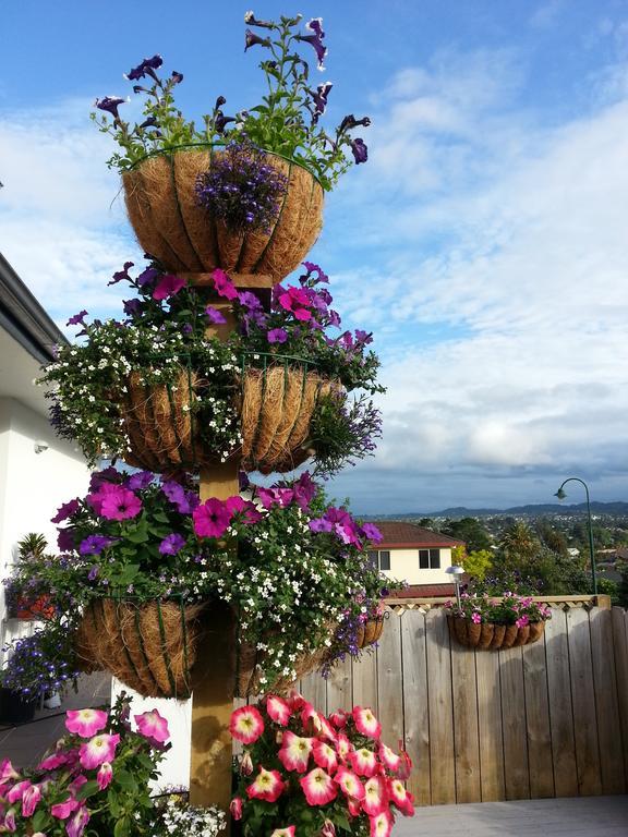 Lush & Co Auckland Bed & Breakfast Bagian luar foto