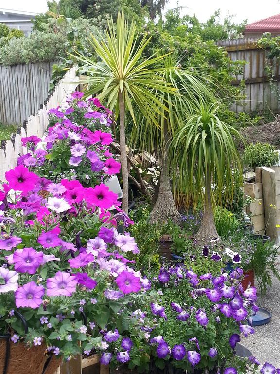 Lush & Co Auckland Bed & Breakfast Bagian luar foto