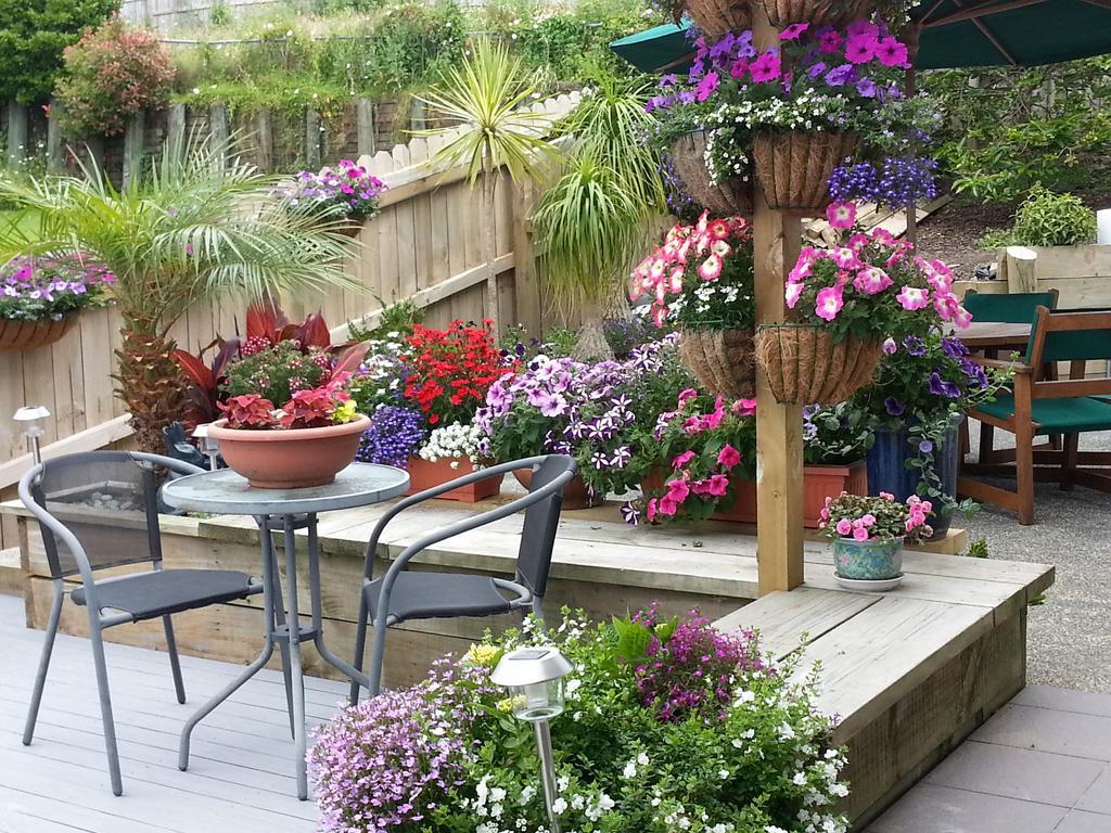 Lush & Co Auckland Bed & Breakfast Bagian luar foto