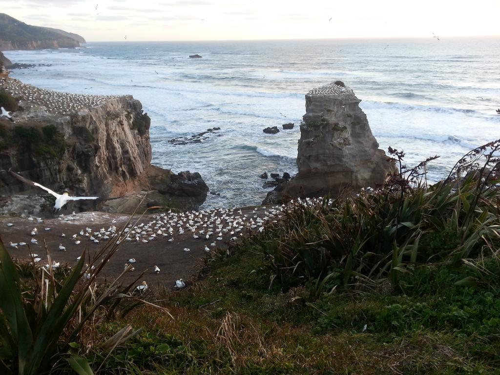 Lush & Co Auckland Bed & Breakfast Bagian luar foto