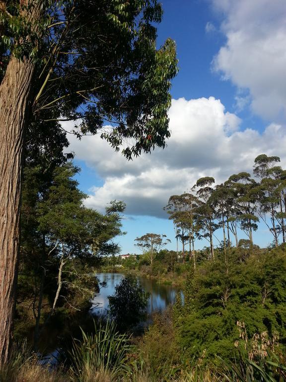 Lush & Co Auckland Bed & Breakfast Bagian luar foto