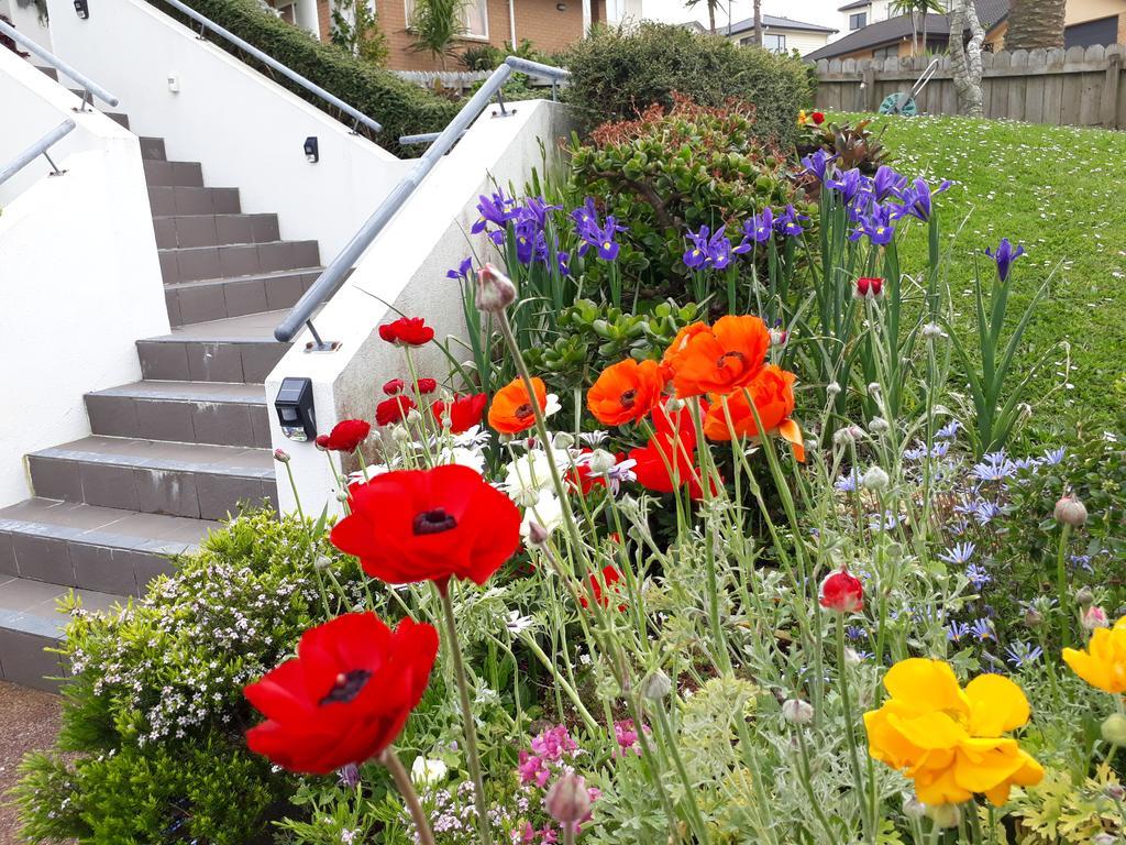 Lush & Co Auckland Bed & Breakfast Bagian luar foto
