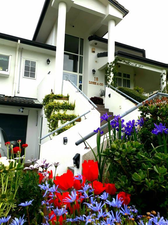 Lush & Co Auckland Bed & Breakfast Bagian luar foto
