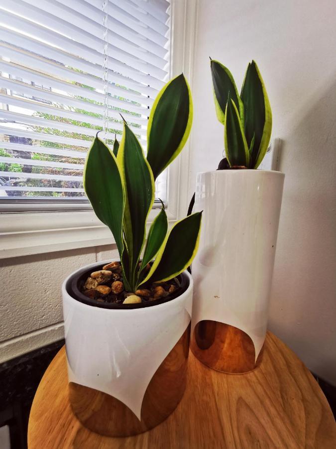 Lush & Co Auckland Bed & Breakfast Bagian luar foto